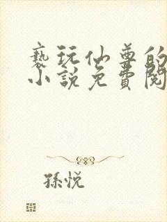 亵玩仙尊的道侣小说免费阅读