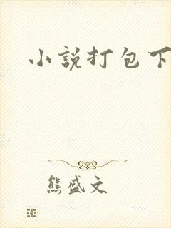 小说打包下载