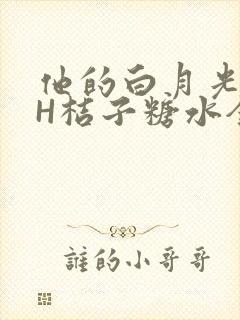 他的白月光HVH桔子糖水全文