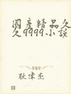 国产精品久久久久9999小说