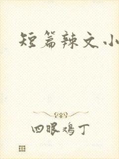短篇辣文小说