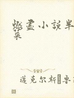燃尽小说半截白菜