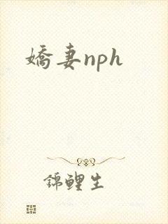 娇妻nph