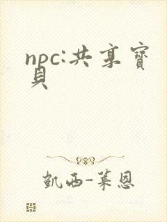 npc:共享宝贝