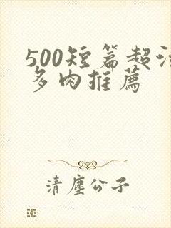 500短篇超污多肉推荐