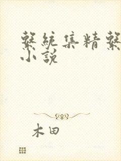 系统集精系统 小说