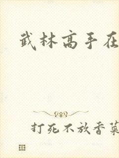 武林高手在异界