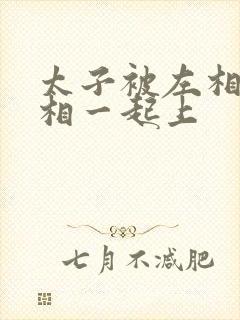 太子被左相和右相一起上