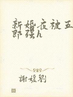 新婚夜被五个伴郎强h