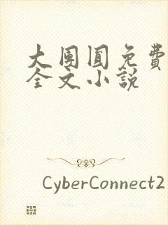 大团圆免费阅读全文小说