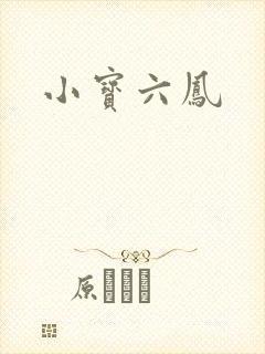 小宝六凤