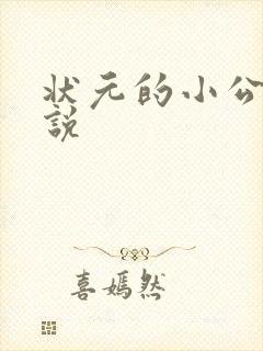 状元的小公主小说