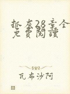 抓灰28章全部免费阅读