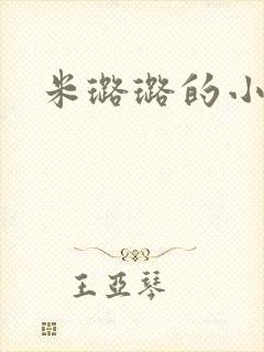米璐璐的小说