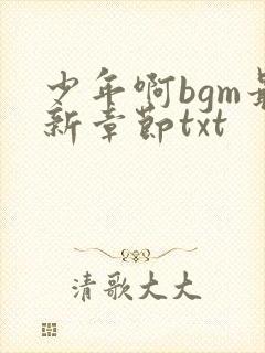 少年啊bgm最新章节txt