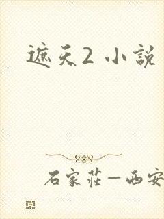 遮天2 小说