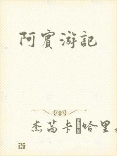 阿宾游记