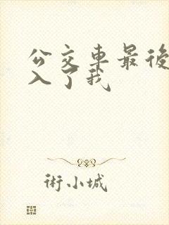 公交车最后一排入了我