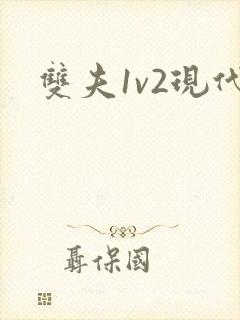 双夫1v2现代