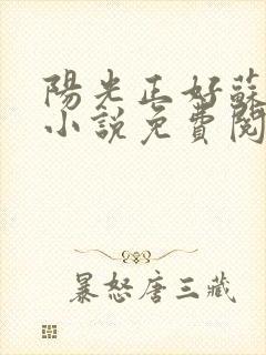 阳光正好苏玥玥小说免费阅读