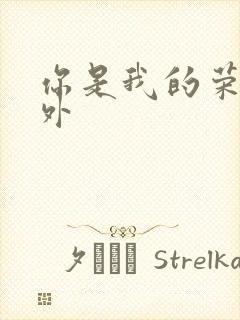 你是我的荣耀番外