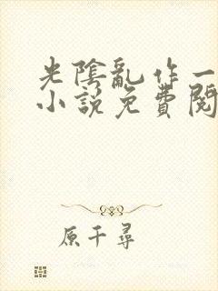 光阴乱作一团的小说免费阅读