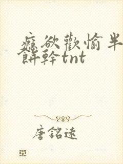 瘾欲欢愉半块小饼干tnt