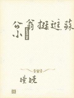 公翁挺进苏玥的小泬
