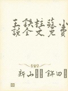 王铁柱苏小汐小说全文免费阅读最新章节