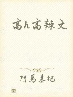 高h高辣文