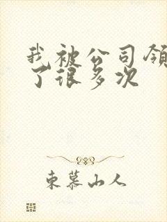 我被公司领导C了很多次