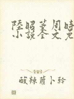 陆昭菱周时阅的小说全文免费阅读