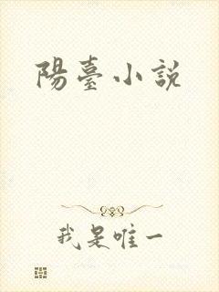 阳台小说