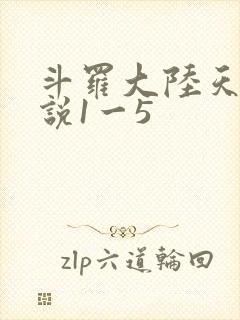 斗罗大陆天狂传说1一5
