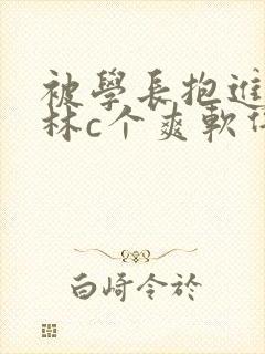 被学长抱进小树林c个爽软件