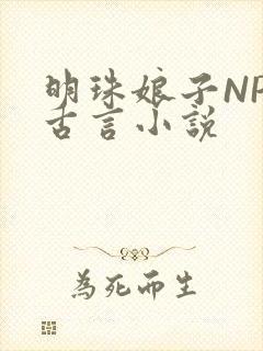 明珠娘子NPC古言小说
