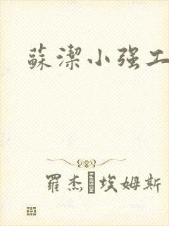 苏洁小强工地情