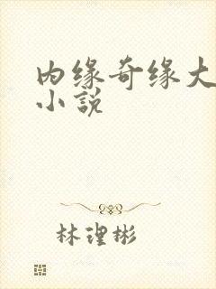 内缘奇缘大团圆小说