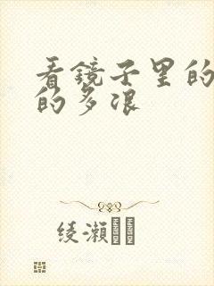 看镜子里的你叫的多浪