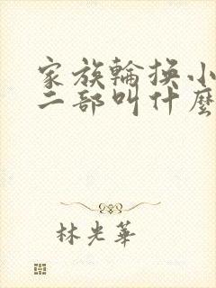 家族轮换小说第二部叫什么名字