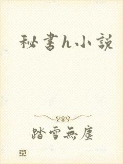 秘书h小说