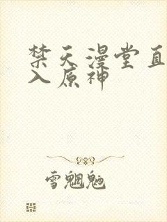 禁天漫堂直接进入原神