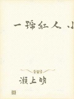 一号红人 小说