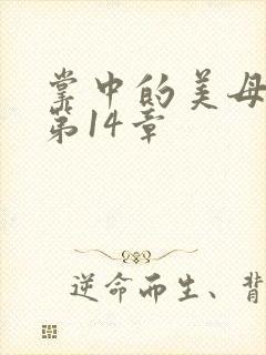 掌中的美母版主第14章