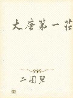 大唐第一庄
