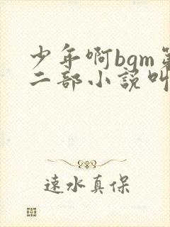 少年啊bgm第二部小说叫什么