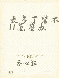 太多了装不下h11怎么办