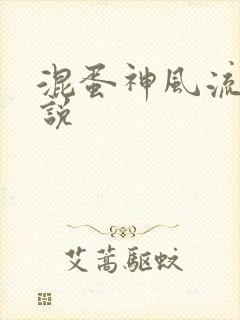 混蛋神风流史小说