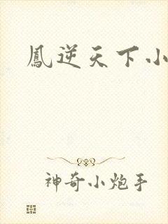 凤逆天下小说