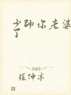 少帅你老婆又跑了